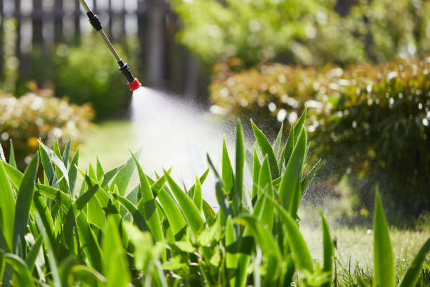 24/7 Emergency Ant Control experts in Loyola, CA