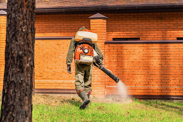 Trusted Bed Bug Control service in Loyola, CA - Nex Pest Control